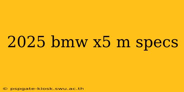 2025 bmw x5 m specs