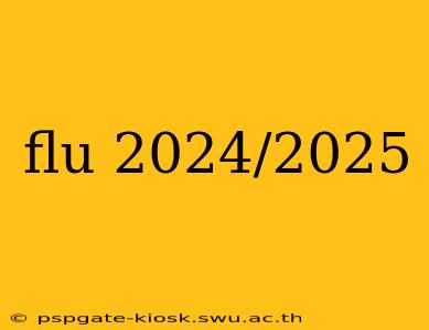 flu 2024/2025