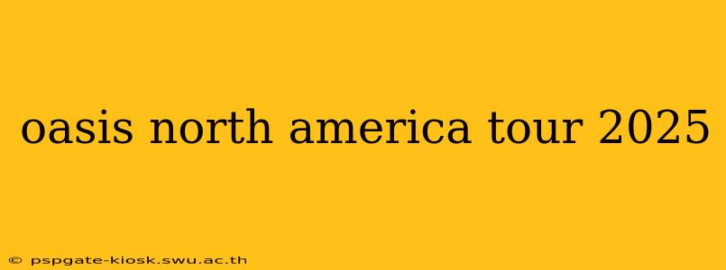 oasis north america tour 2025